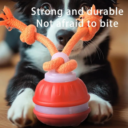 Chase & Fetch™ Let’s Play Fetch! Interactive Motion-Activated Puppy Ball Toy
