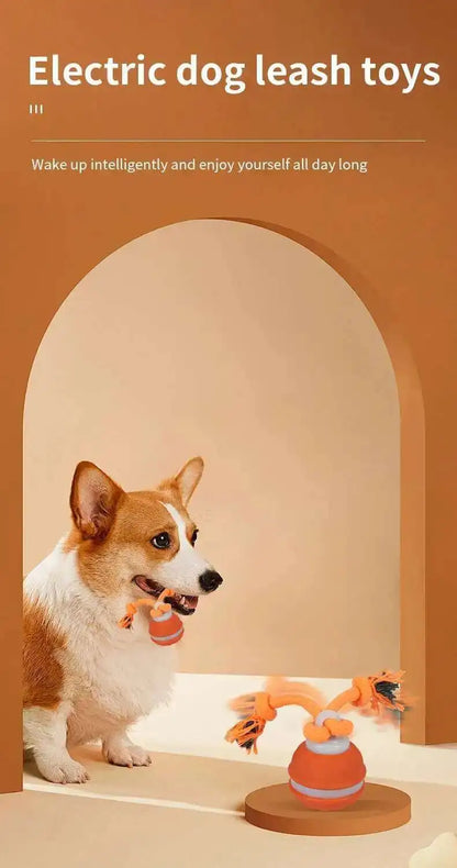 Chase & Fetch™ Let’s Play Fetch! Interactive Motion-Activated Puppy Ball Toy