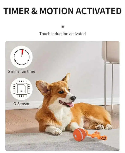 Chase & Fetch™ Let’s Play Fetch! Interactive Motion-Activated Puppy Ball Toy