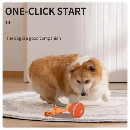 Chase & Fetch™ Let’s Play Fetch! Interactive Motion-Activated Puppy Ball Toy