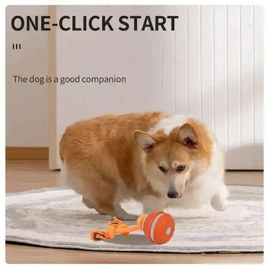 Chase & Fetch™ Let’s Play Fetch! Interactive Motion-Activated Puppy Ball Toy