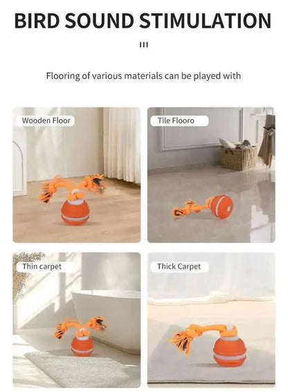 Chase & Fetch™ Let’s Play Fetch! Interactive Motion-Activated Puppy Ball Toy