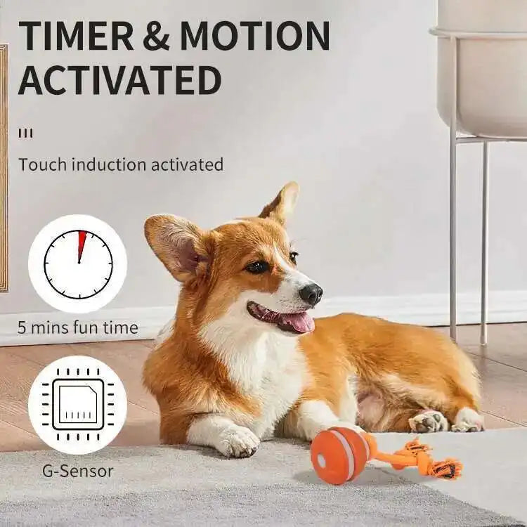 Chase & Fetch™ Let’s Play Fetch! Interactive Motion-Activated Puppy Ball Toy