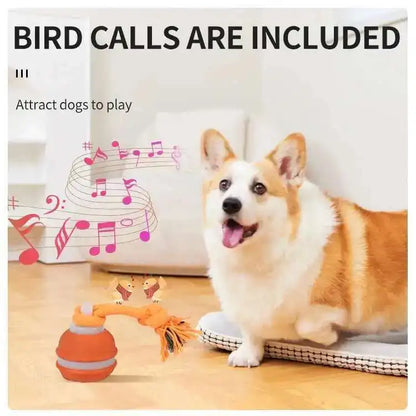 Chase & Fetch™ Let’s Play Fetch! Interactive Motion-Activated Puppy Ball Toy