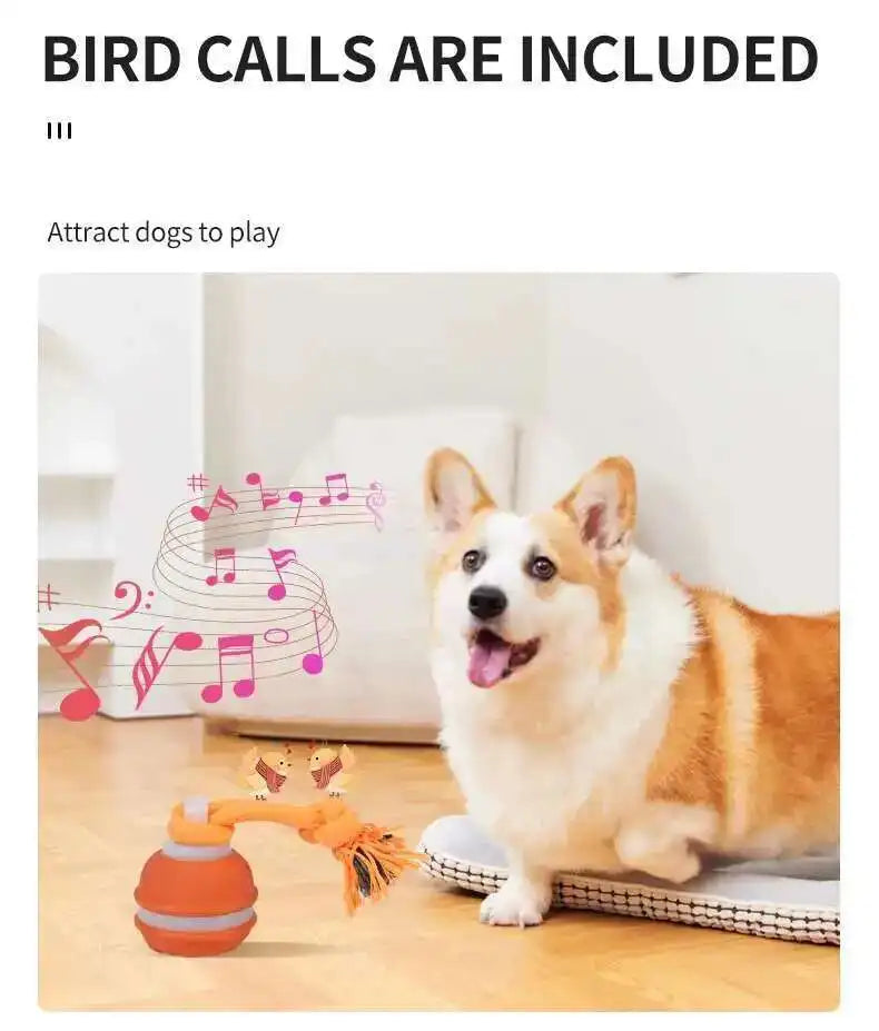 Chase & Fetch™ Let’s Play Fetch! Interactive Motion-Activated Puppy Ball Toy