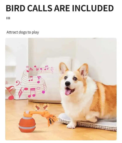 Chase & Fetch™ Let’s Play Fetch! Interactive Motion-Activated Puppy Ball Toy