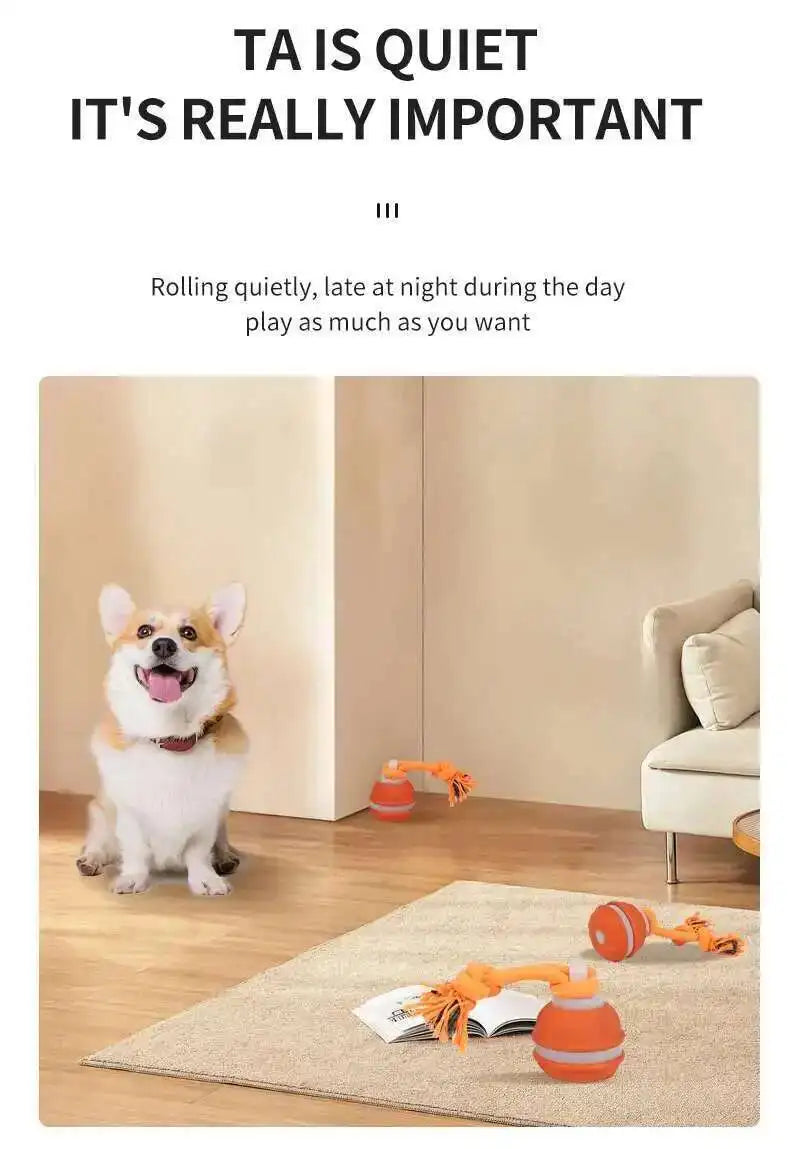 Chase & Fetch™ Let’s Play Fetch! Interactive Motion-Activated Puppy Ball Toy