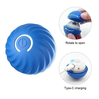 Let's Play Fetch! Puppy Ball