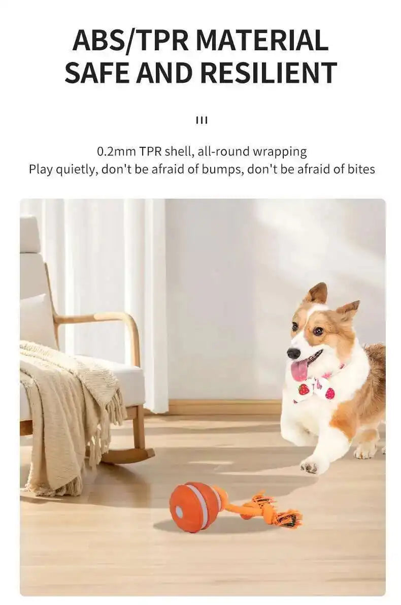 Chase & Fetch™ Let’s Play Fetch! Interactive Motion-Activated Puppy Ball Toy