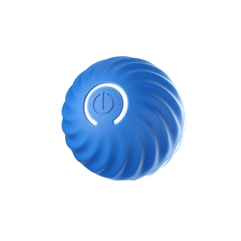 Let's Play Fetch! Puppy Ball