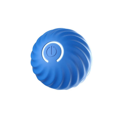 Let's Play Fetch! Puppy Ball