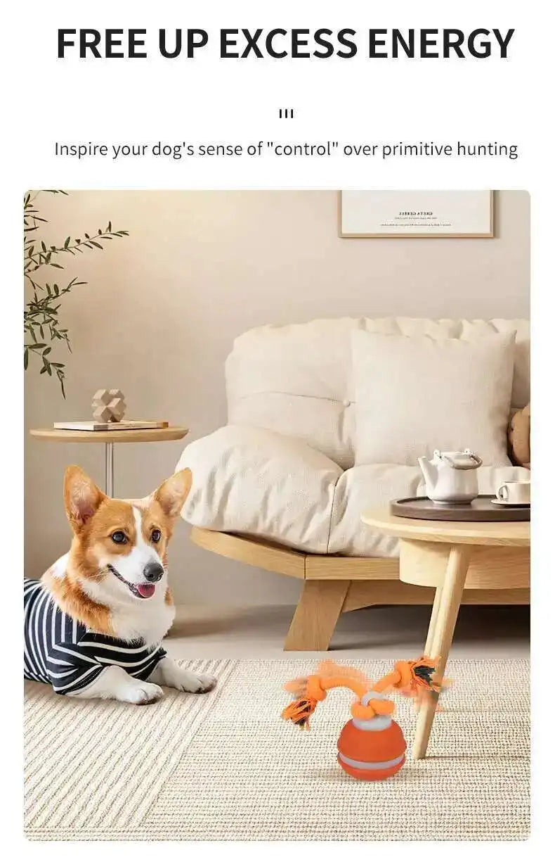 Chase & Fetch™ Let’s Play Fetch! Interactive Motion-Activated Puppy Ball Toy